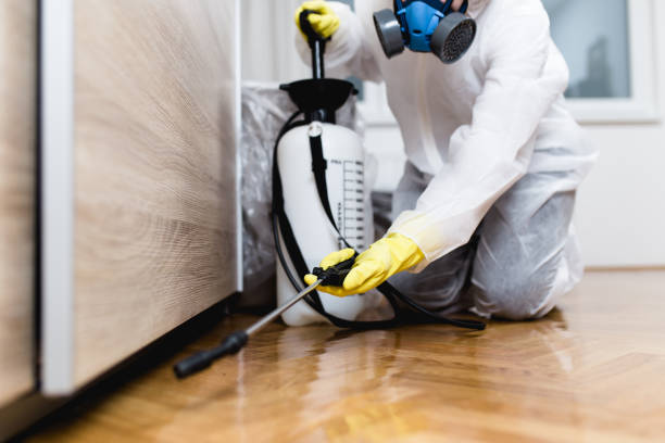 Best Cockroach Control Services  in Lubeck, WV
