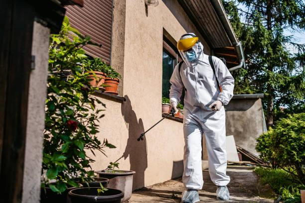 Best Bed Bug Extermination  in Lubeck, WV