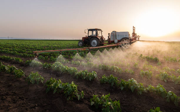 Best Pest Removal Services  in Lubeck, WV